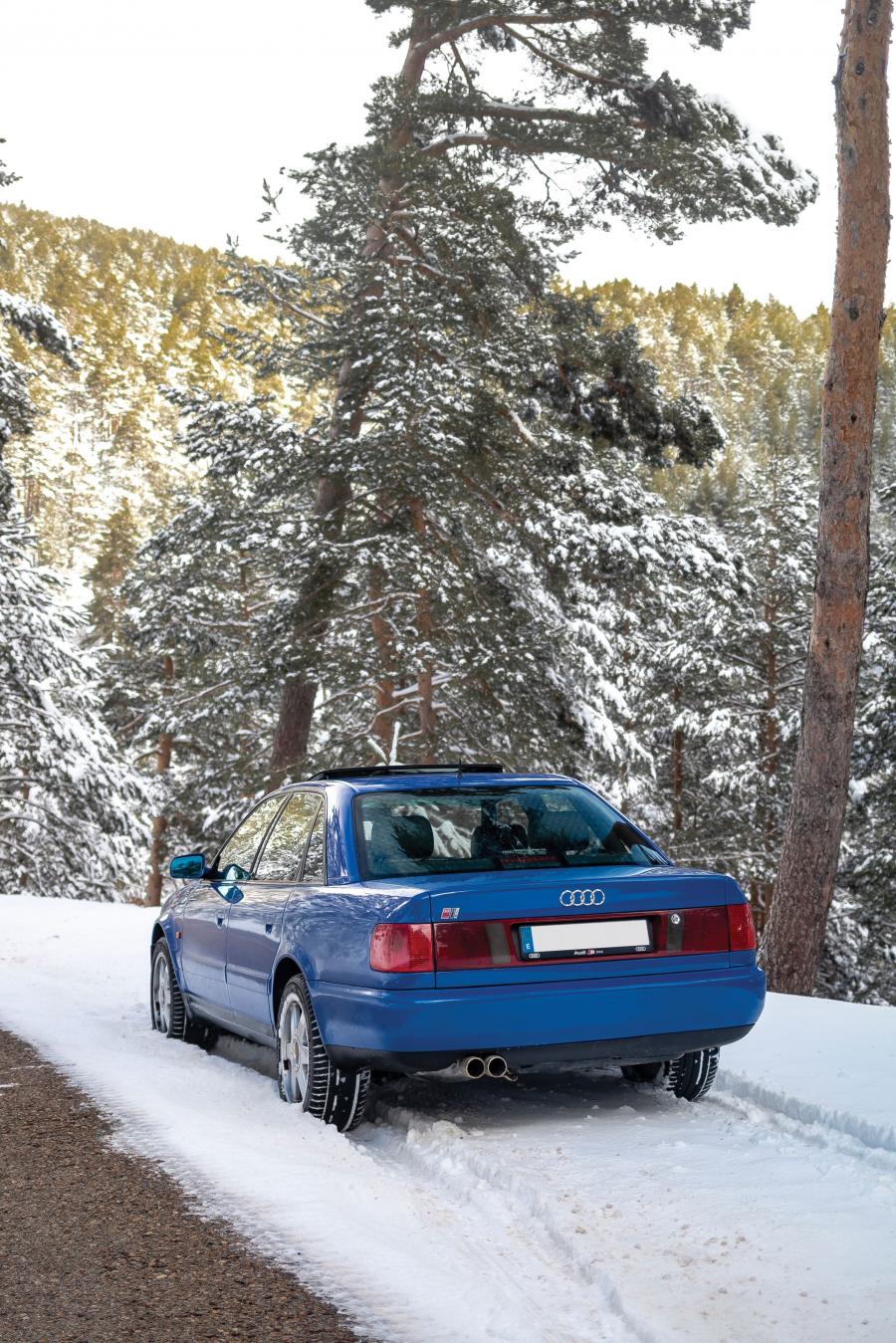  Audi S6 Plus (4A, C4) 1996 года  (фото 8 из 58)